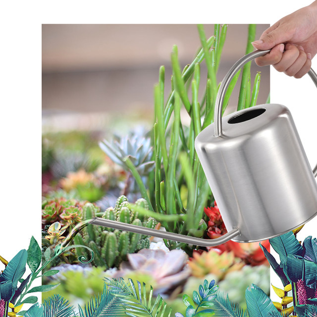 Home Succulent Pot Plant Watering Kettle Creative Long Mouth Drying Bottle Gardening European Sprinkler Retro Stainless Steel Sprinkler
