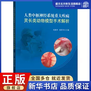 神经外科模型 新人首单立减十元 22年8月 淘宝海外