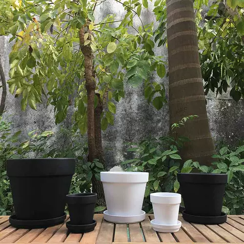 圆形花器盆栽 新人首单立减十元 22年2月 淘宝海外