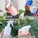 
Beverage bottle universal spray nozzle spray watering flower watering can gardening hand pressure atomization manual watering can head home