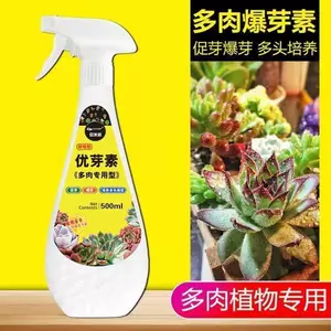 植物细胞分裂 新人首单立减十元 22年6月 淘宝海外