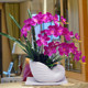 Phalaenopsis artificial flowers silk flower ornaments home living room indoor TV cabinet artificial flowers artificial flowers ornaments flowers