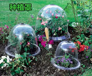 花盆暖棚 新人首单立减十元 22年9月 淘宝海外 花盆暖棚 新人首单立减十元 22年9月 淘宝海外