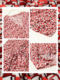 Real silk V -neck dress female summer new lace seven -point sleeve large size mulberry silk knitting middle long skirt
