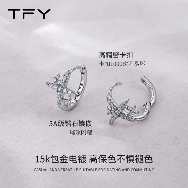 Huge good-looking four-pointed star zircon earrings for women 2025 new popular style high-end light luxury niche design earrings