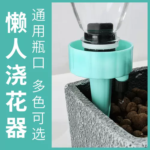 兰花盆栽浇水 新人首单立减十元 22年2月 淘宝海外