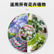 Nutritional soil, flower cultivation, general purpose flower cultivation, general purpose flower cultivation, household potted flower plant plant cultivation soil