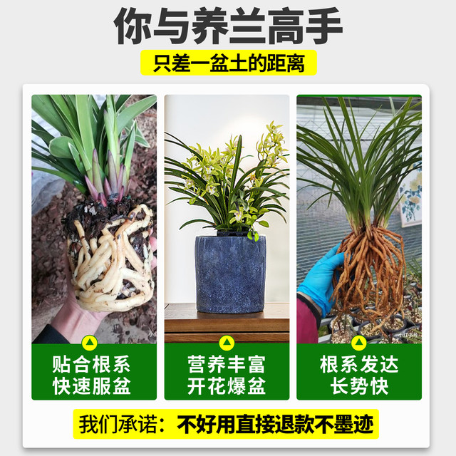 Orchid special soil nutritional soil plant material Clivia Phalaenopsis orchid soil particles high-end pine bark orchids