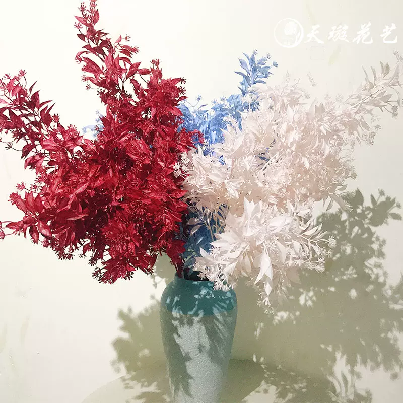 水芙蓉水草 新人首單立減十元 21年10月 淘寶海外