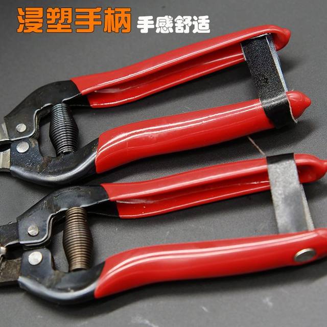 Pruning shear spring branch shear spring fruit tree shear spring gardening scissors special original spring gardening scissors
