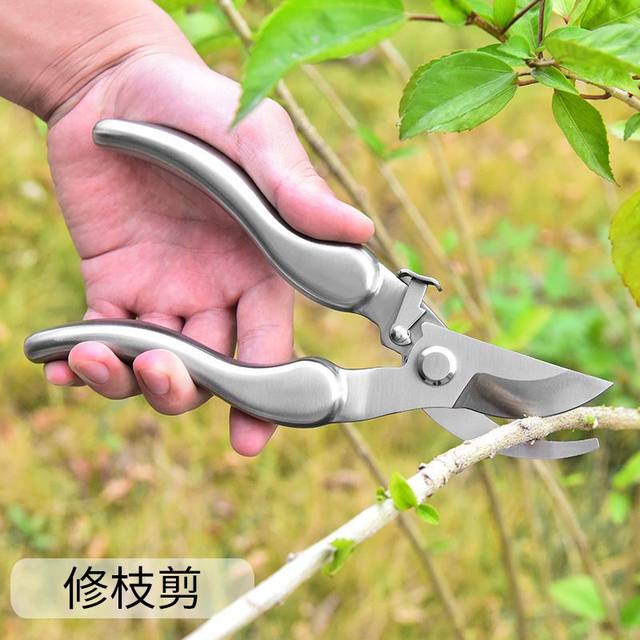 New 304 stainless steel pruning shears pruning branches scissors fruit tree pruning scissors scissors gardening scissors