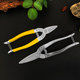 Horticultural scissors picking, scissors, round head scissors, cutting stainless steel Luo Ding new scissors scallion special
