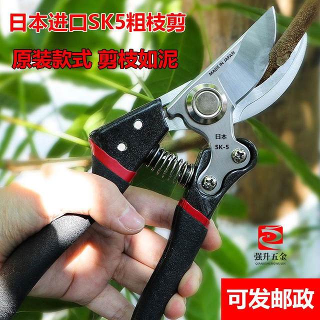 Original Japanese SK5 large scissors, large size, powerful pruning, expensive scissors, tree and gardening scissors