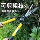 Gardening large scissors Garden flowers, flowers, trees, pruning, lawn, hedge shears, powerful pruning branches, lawn shears