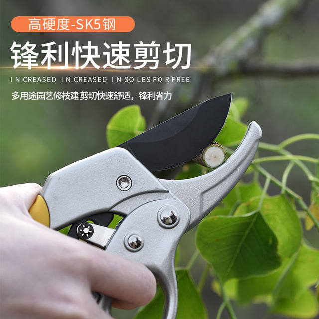 Labor-saving fruit tree pruning scissors segmented professional gardening branch pruning garden flower branch pruning thick branch scissors