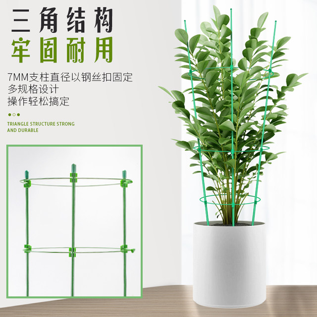Climbing flower stand gardening pillar stand balcony pothos rose clematis vine climbing crab claw orchid support rod