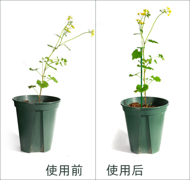 Plant fixed anti-lodging flower stand gardening support single pole outdoor garden rose climbing hydrangea flower support bracket