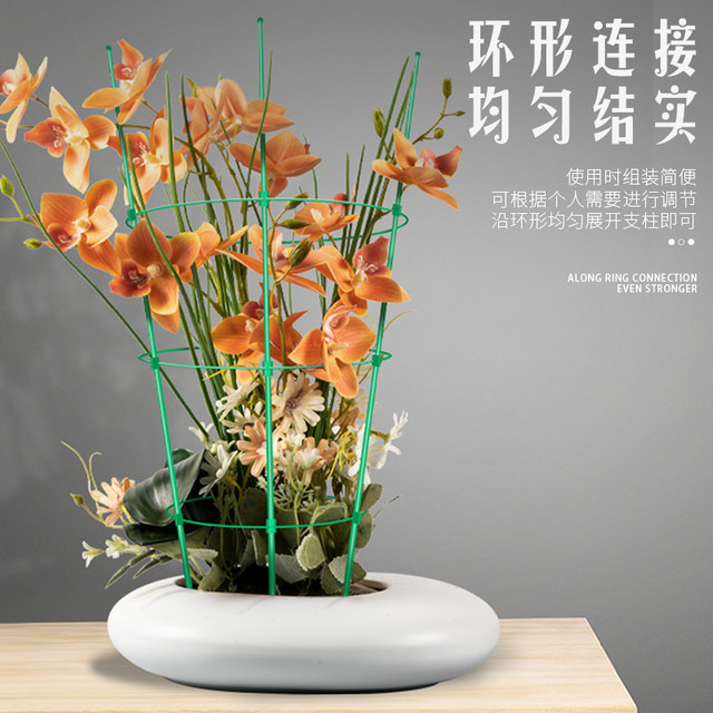 Climbing flower stand gardening pillar stand balcony pothos rose clematis vine climbing crab claw orchid support rod
