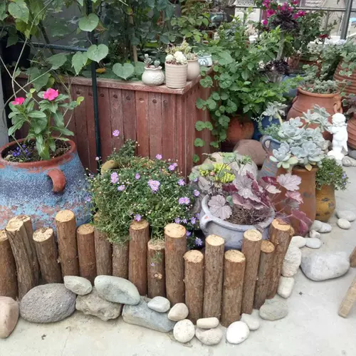 皮篱笆 新人首单立减十元 22年2月 淘宝海外