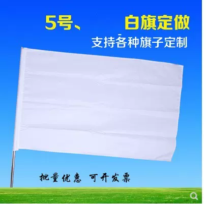 白班旗 新人首单立减十元 21年11月 淘宝海外