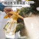 Watering kettle for watering flowers. Household pressure kettle sprayer for watering and cleaning. Special air pressure kettle for flower cultivation.