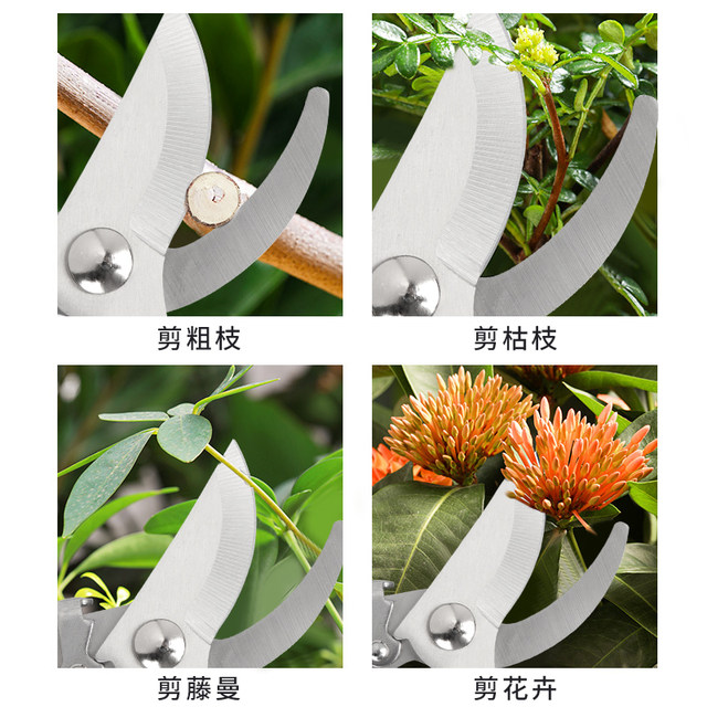 Stainless steel branch pruning shears for picking fruits, flowers and trees, garden fruit trees, flower branches, grafting, gardening scissors tools