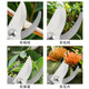 Stainless steel branch pruning shears for picking fruits, flowers and trees, garden fruit trees, flower branches, grafting, gardening scissors tools
