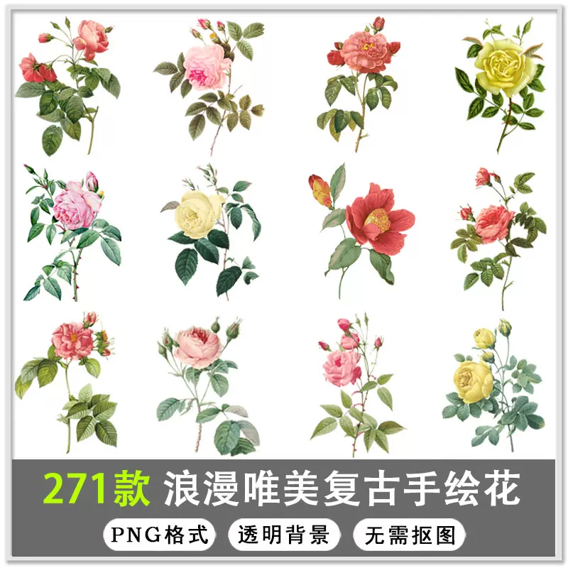 Png素材水彩花 新人首单立减十元 21年12月 淘宝海外