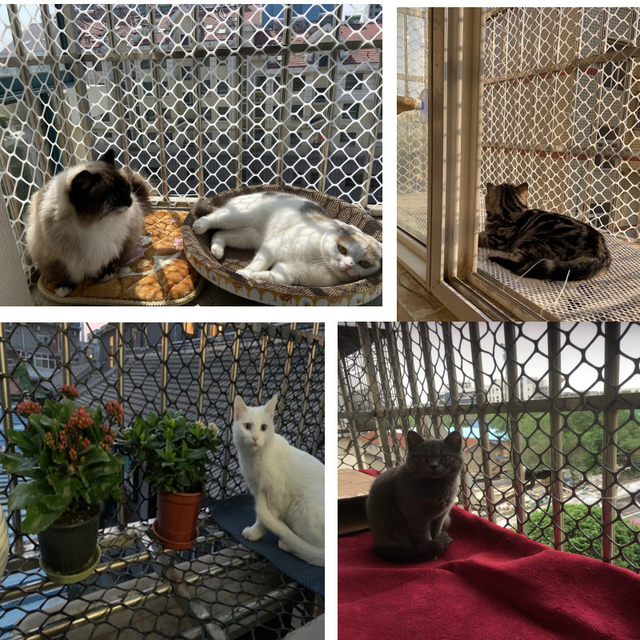 Large hole plastic mesh cat protective net balcony safety anti-fall net stair protective net fence guardrail window sealing net