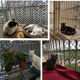 Large hole plastic mesh cat protective net balcony safety anti-fall net stair protective net fence guardrail window sealing net