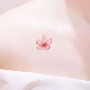 梅花贴纸纹身 新人首单立减十元 22年9月 淘宝海外