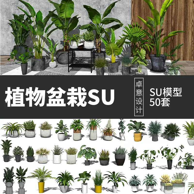 景观室内绿植物su模型盆栽花架花瓶装饰品摆件仙人掌芭蕉凤尾