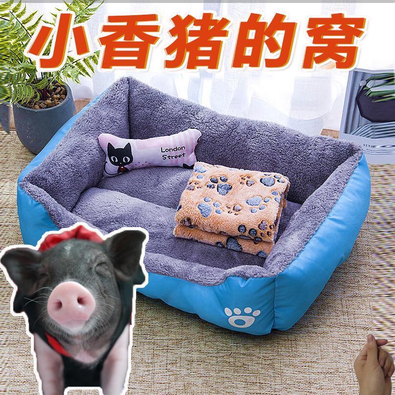 小香猪的窝小房子宠物猪窝用品屋睡觉的窝保暖泰国迷你荷兰小猪窝