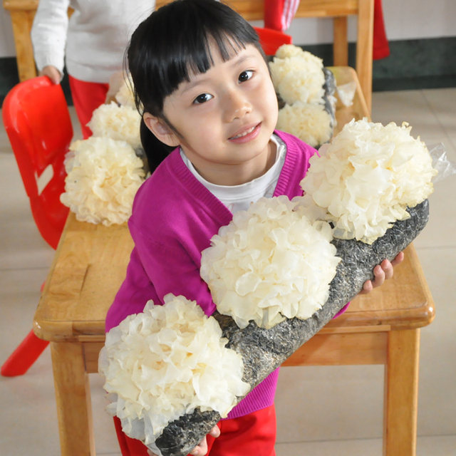 Mushroom planting buns Home-growing Mushroom Black Oxygen Bun Fresh Fungus Sticks Potted Edible Mushrooms Shiitake Fun Balcony