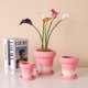 Peach pink gradient phalaenopsis orchid flower pot ceramic light luxury high-end sense home combination set pot orchid special flower pot
