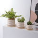 Sub -roasted hand -painted coarse pottery pot creative breathable pot of multi -fleshy plant orchid small flower pot simple ceramic 2022 new model

