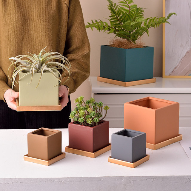 Nordic Simple Ceramics Pot Pot Quiet Phalaenopsis Merry Family Green Potted Plant Tibetan Creative Creative
