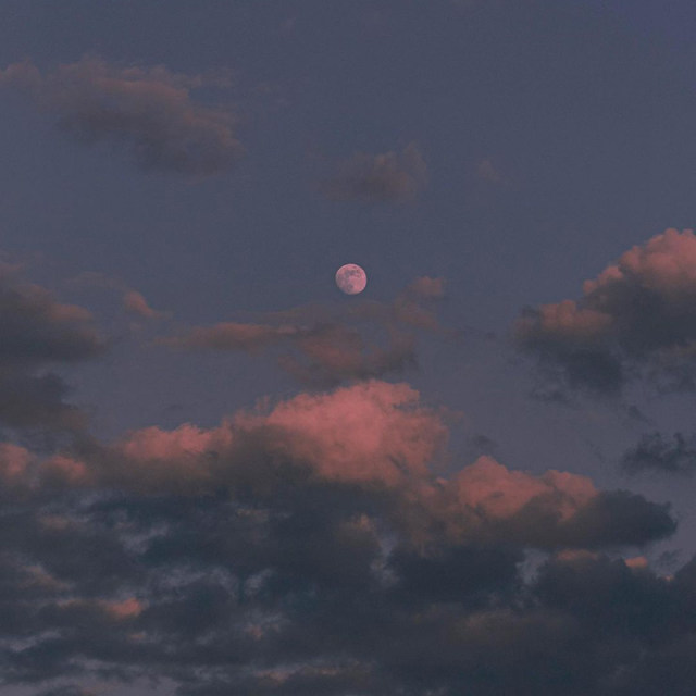 Vintage CCD camera Multiple filter switching is suitable for Sony portrait straight out of flash shots