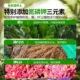 Nutrient soil for household flowers and vegetables, special soil for potted plants, general planting soil, gardening soil, flower soil fertilizer