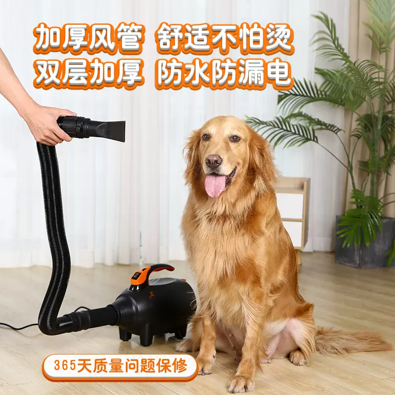 宠物吹水机洗澡烘干家用专用狗狗吹风猫咪金毛小型犬