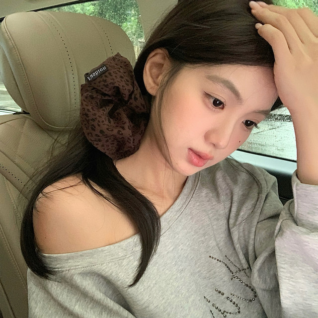 
Lazy and tonal. Large leopard print skirt hair band, large intestine circle, fashionable and western-style low ponytail hair rope, high-end hair accessories