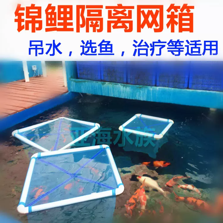 隔离锦鲤鱼 新人首单立减十元 22年6月 淘宝海外