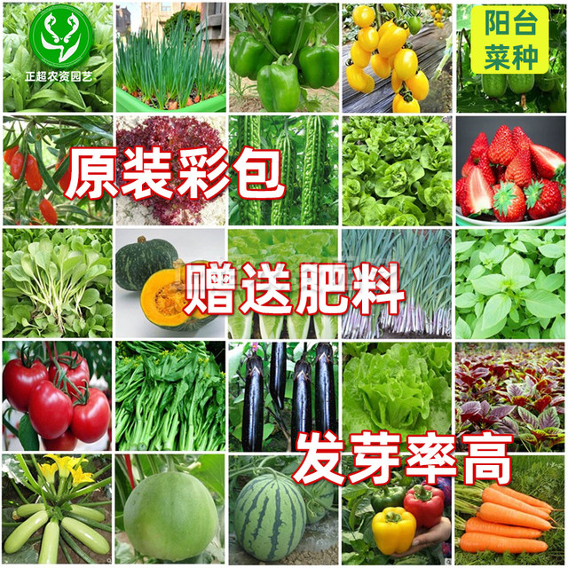 Four season rapeseed vegetable seed set meal lettuce coriander seeds large leaves seeds onion seeds high-quality seeds potted plants balcony