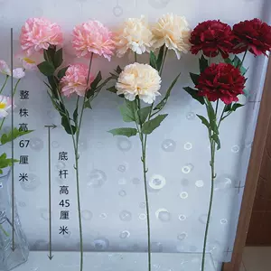 吉祥如意花盆栽 新人首单立减十元 22年9月 淘宝海外