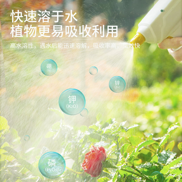 Stanley Potassium Dihydrogen Phosphate Fertilizer Flower Special Authentic Agricultural Phosphate Fertilizer Flower Fertilizer Phosphorus Potassium Fertilizer Foliar Fertilizer for Flowers