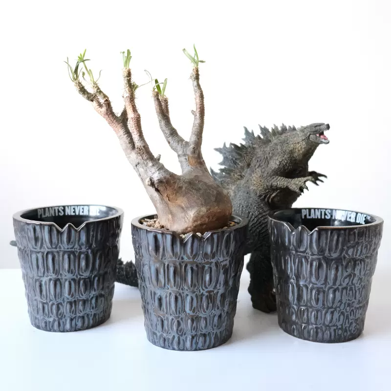 Pnd原创金属釉钢铁怪兽块根植物花盆陶瓷多肉盆透气大口万