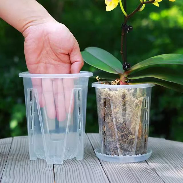 
Phalaenopsis flower pot orchid sap moss transparent root control rooting pot plastic hollow rot preventing household pastoral balcony