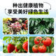 Nutritional soil, flower cultivation, general purpose flower cultivation, general purpose flower cultivation, household potted flower plant plant cultivation soil