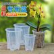 
Phalaenopsis flower pot orchid sap moss transparent root control rooting pot plastic hollow rot preventing household pastoral balcony