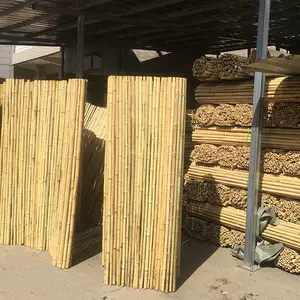 日花坛 新人首单立减十元 22年4月 淘宝海外